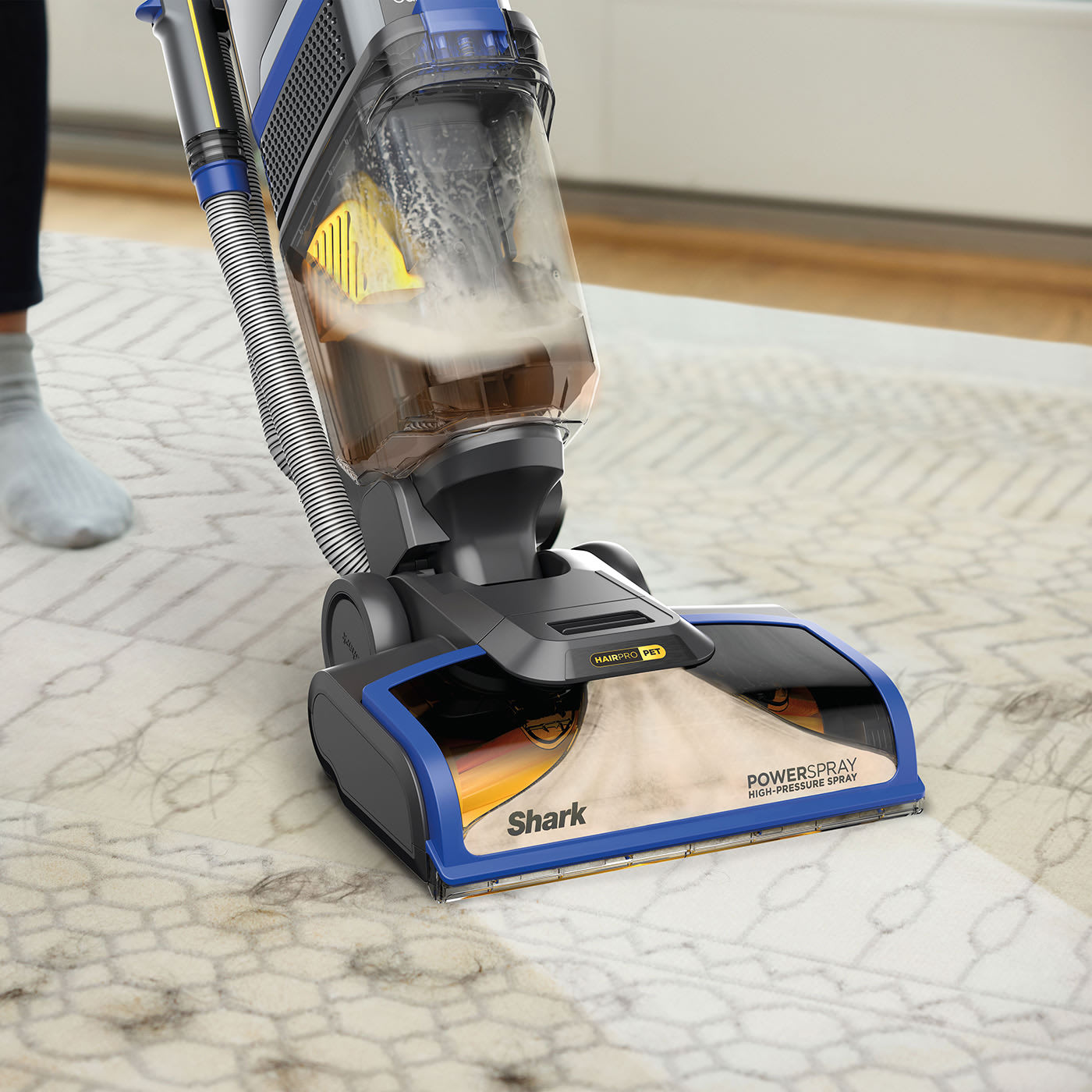 How to clean rugs