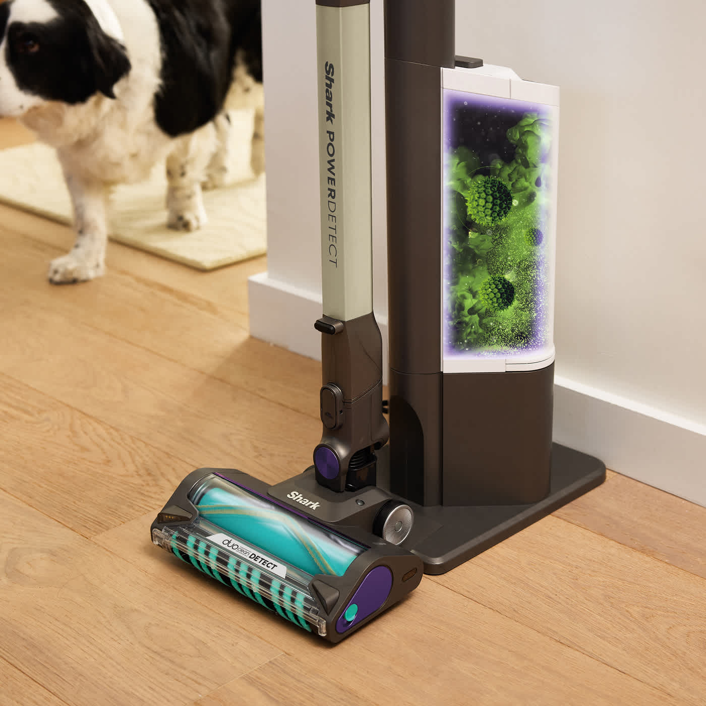Image d'aspirateur sans fil avec base d'autovidage