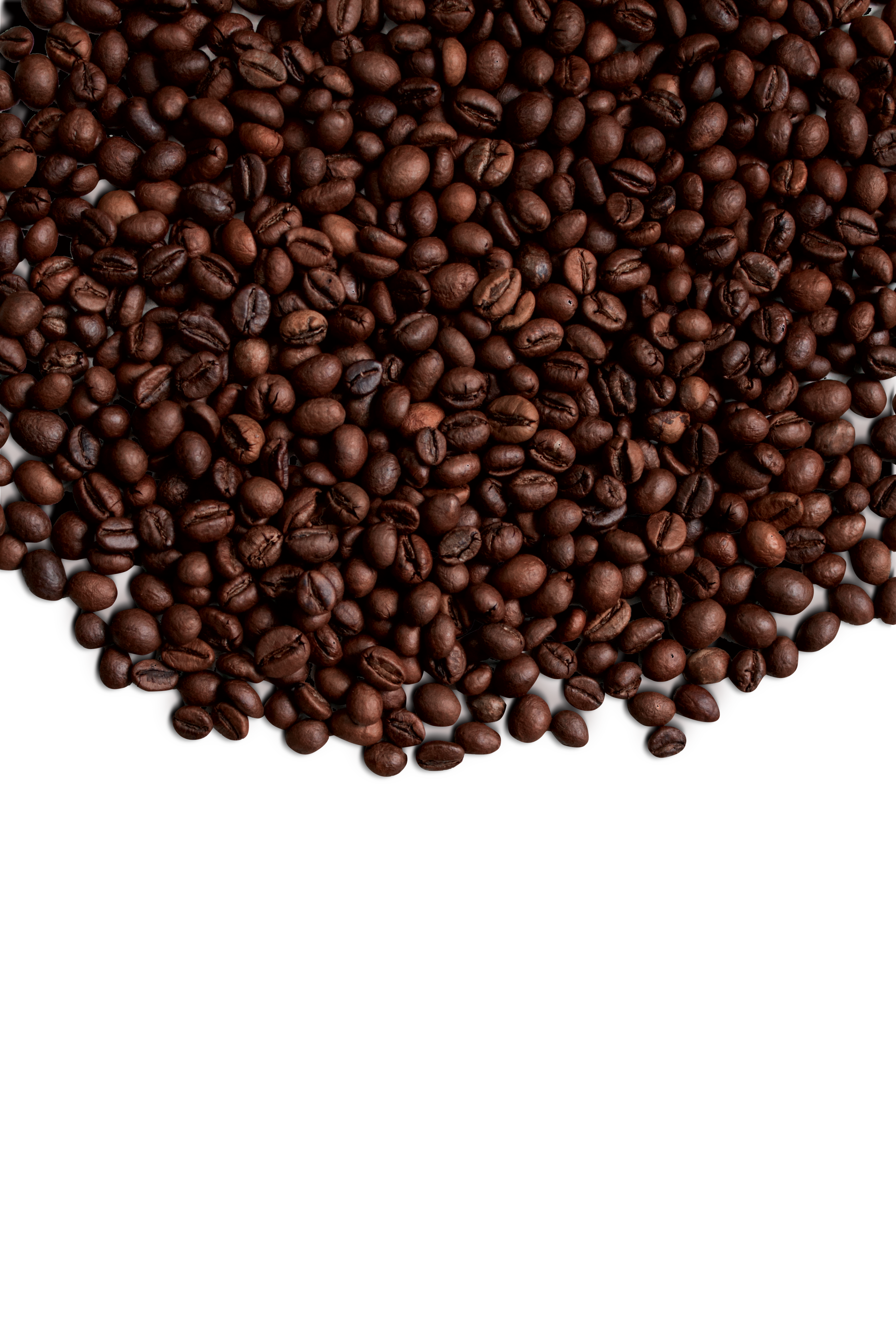Coffee beans