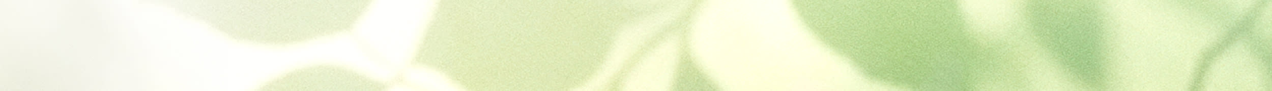 Get Summer Ready