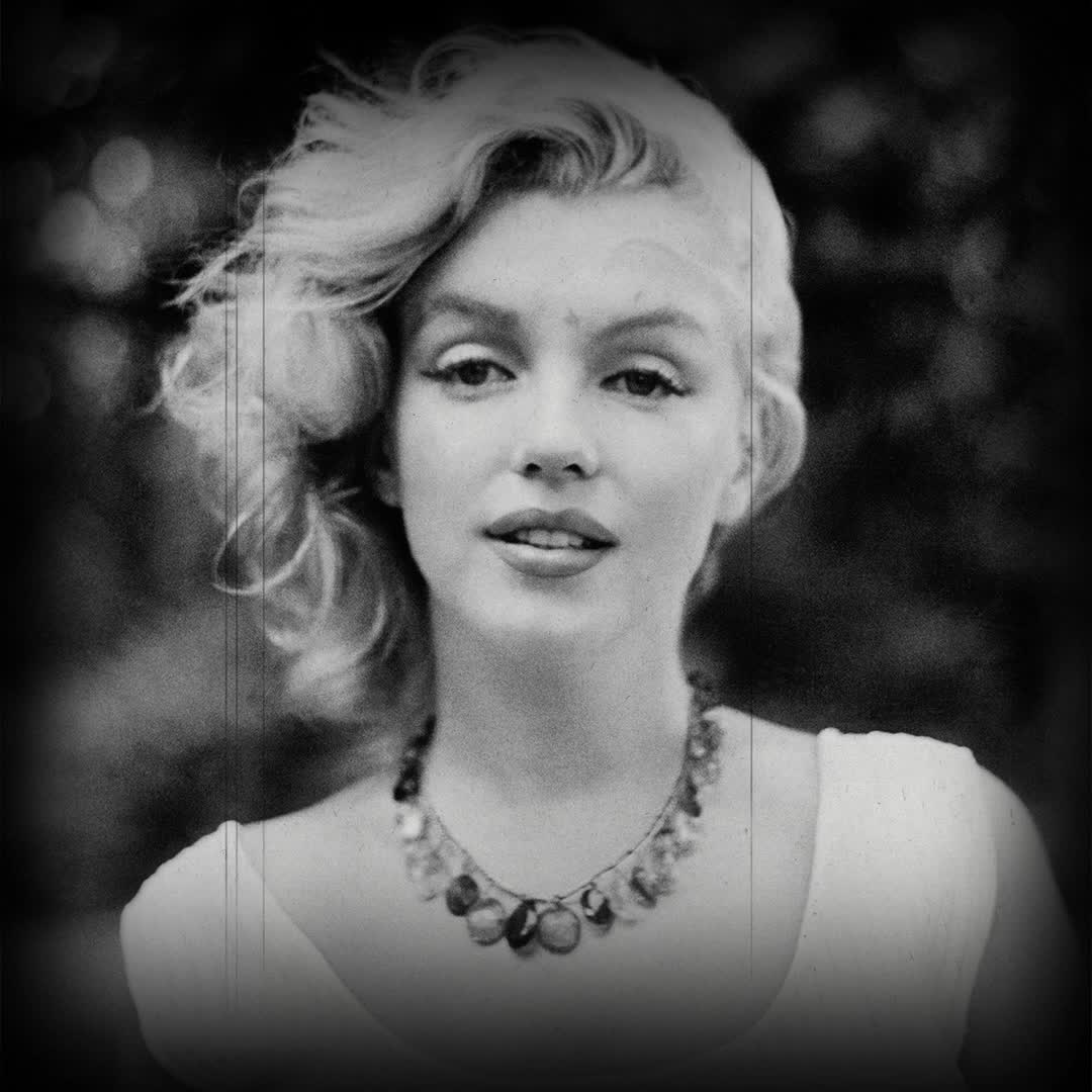Marilyn Monroe Collection | SharkNinja