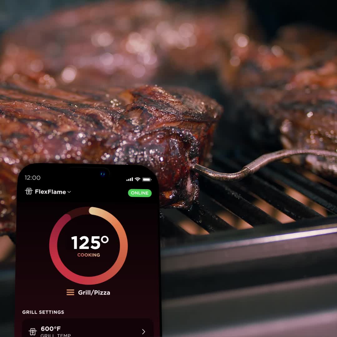 Ninja™ FlexFlame™ Grill with ProConnect™ Essential Bundle | SharkNinja