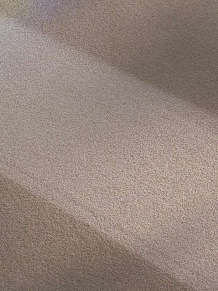 Shark® POWERDETECT™ Upright Bagless Vacuum With Ultimate Cleaning Tools