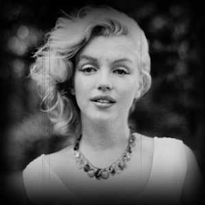 Marilyn　レフィル ＋パフ Marilyn Monroe Collection | SharkNinja