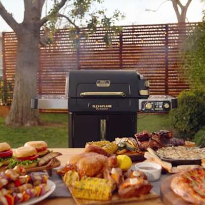 Ninja™ FlexFlame™ Grill and Smoker with ProConnect™